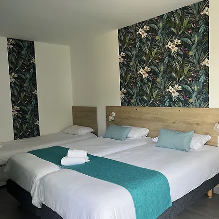 Cit'hotel Les Eleis فندق